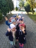 MPS nr 3
