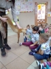 MPS nr 3
