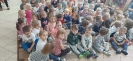 MPS nr 3