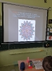 Klasa V e